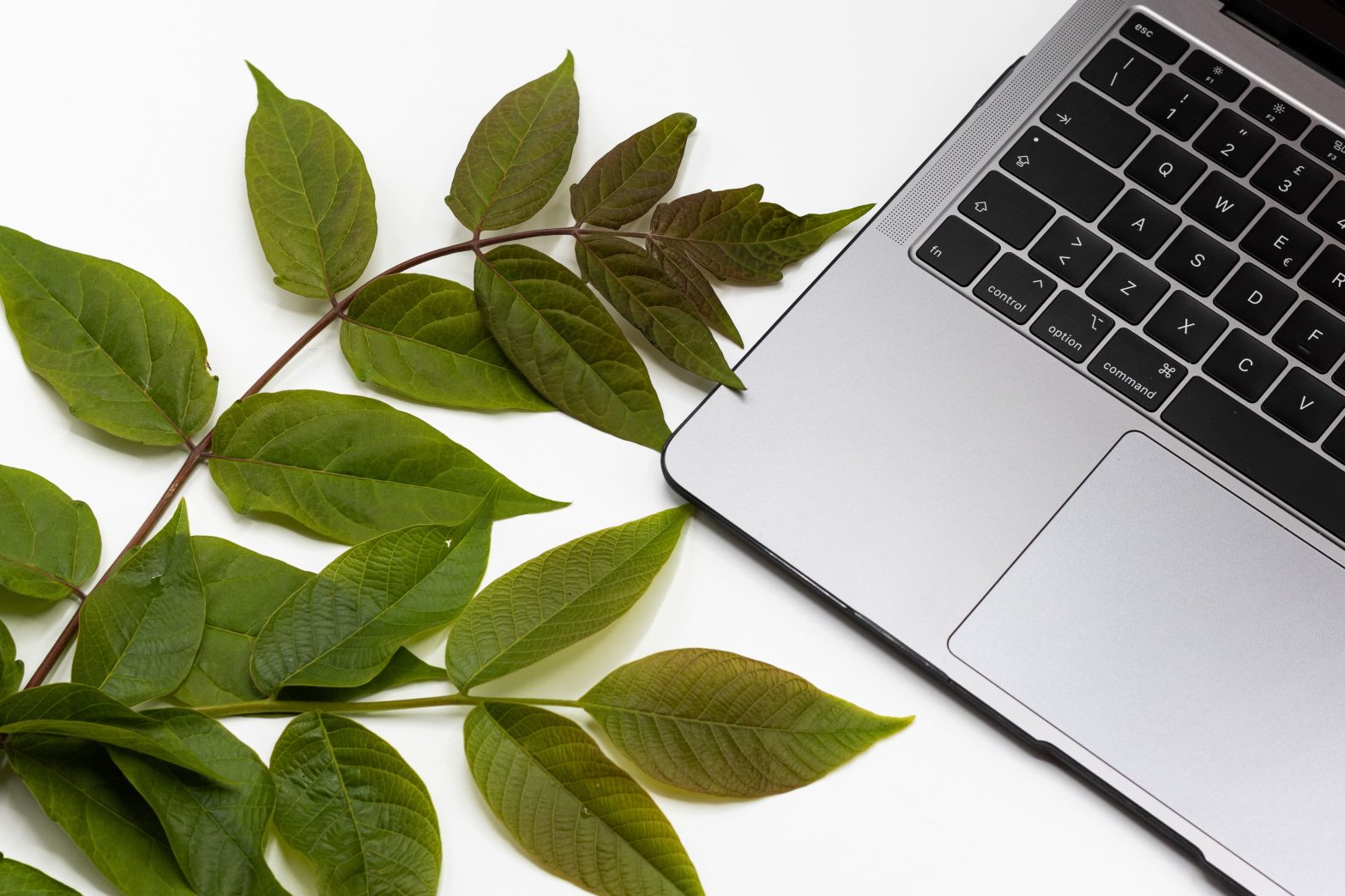 Adopting Sustainable Best Practices for Enterprise ICT