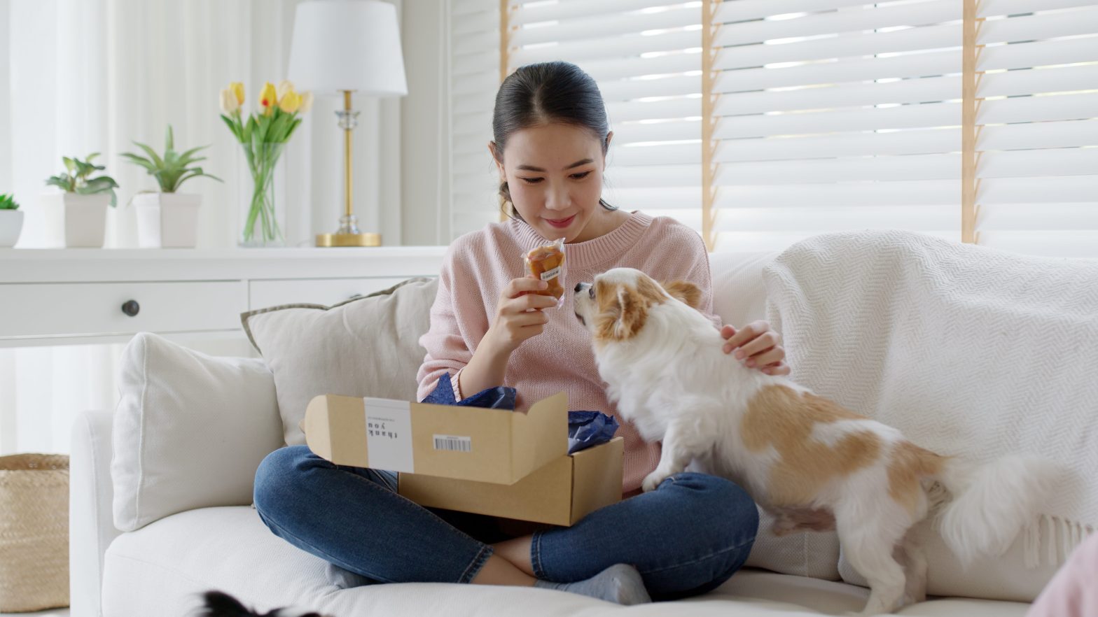 The Rise of Subscription Services: Origins, Economics, and Predictions