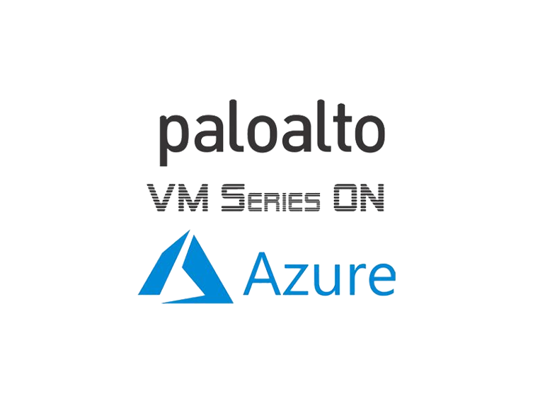 Paloalto VM-300