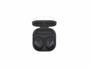 Samsung Galaxy Buds FE Graphite