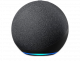 Echo 4th Generation