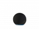 Echo 4th Generation