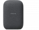 Nest Audio