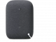 Nest Audio