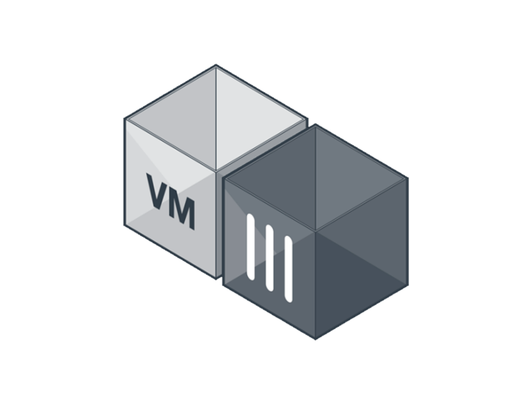 FortiGate-VM01, -VM01V