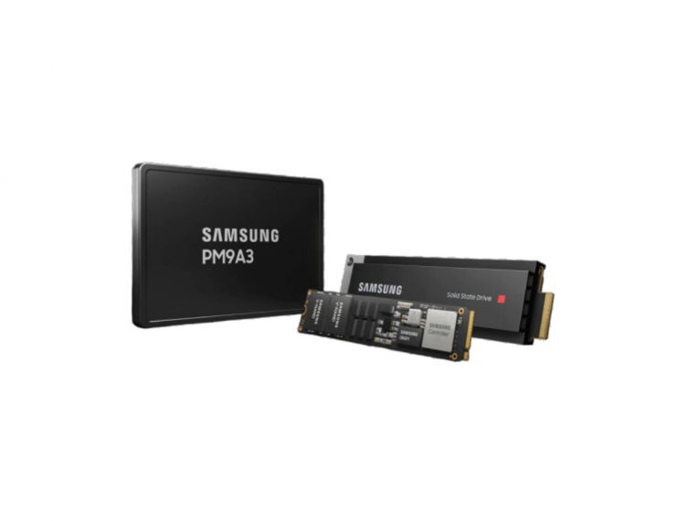 Samsung Datacenter SSD PM9A3 960GB