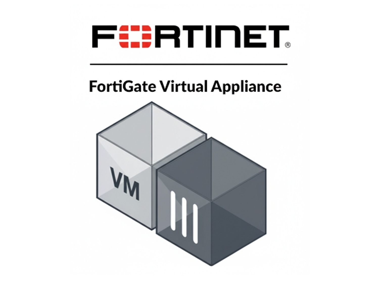 Fortinet FortiGate Virtual Appliance VM04