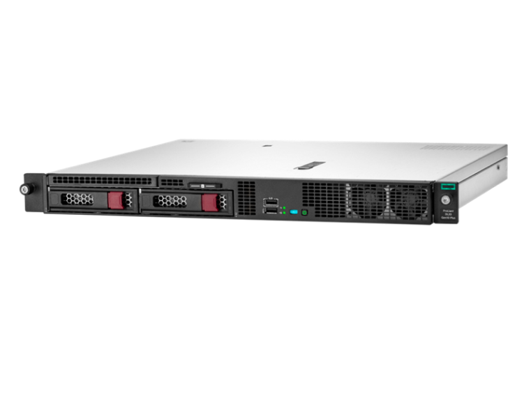 HPE ProLiant DL20 Gen10 Plus High Performance - AI Ready - Xeon E-2336 2.9 GHz - 16 GB - no HDD - rack-mountable 