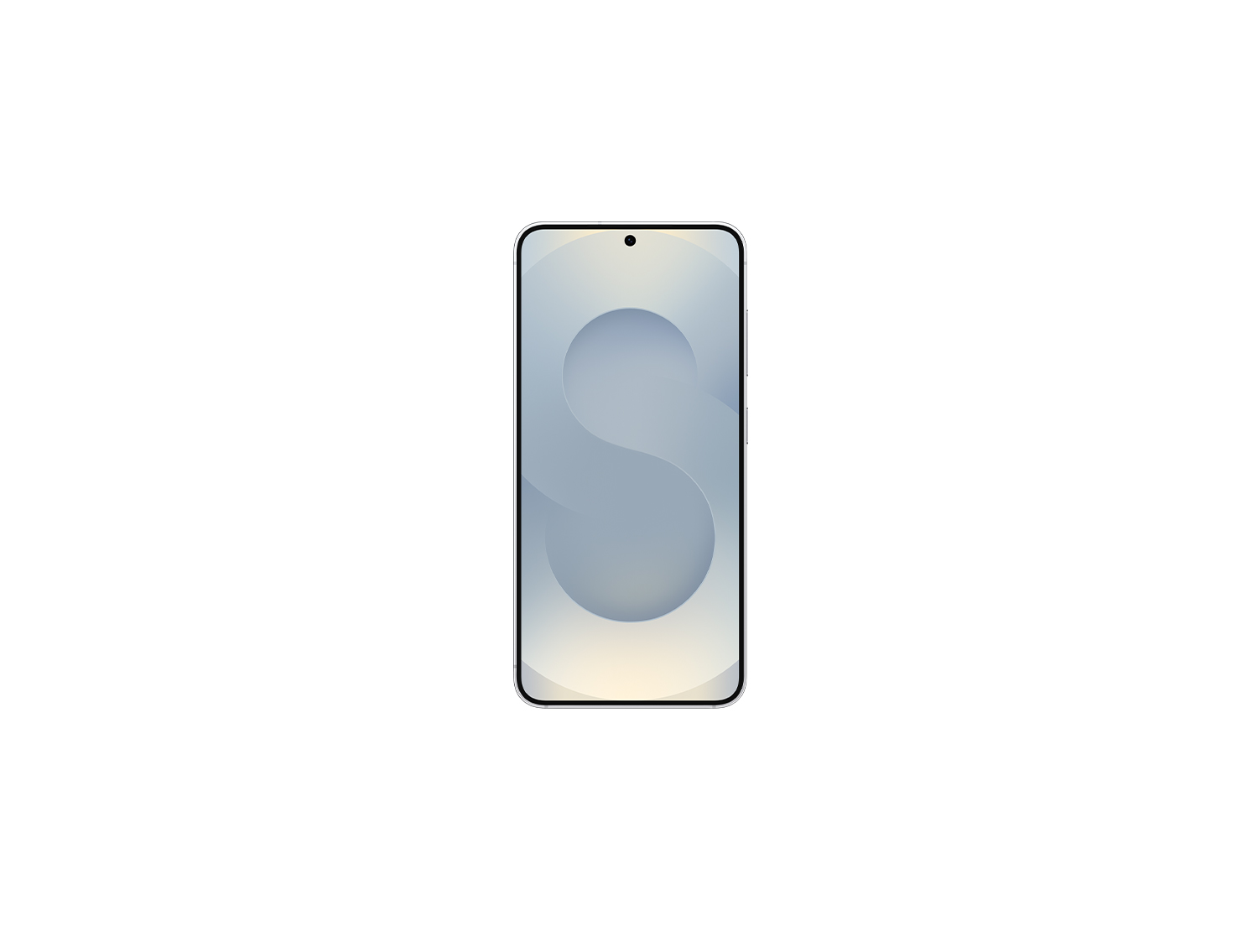 Samsung Galaxy S25, Silver Shadow